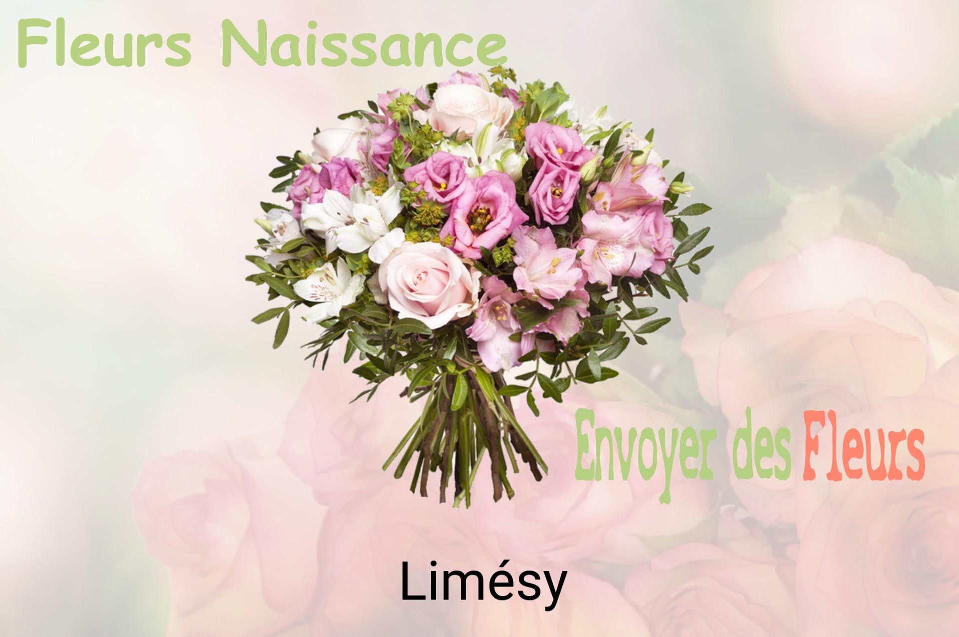 Bouquet de fleurs de naissance livré à Limésy